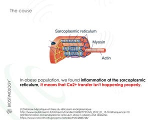 Sarcoplasmic reticulum
Myosin
Actin
In obese population, we found inflammation at the sarcoplasmic
reticulum, It means that Ca2+ transfer isn't happening properly.
The cause
(1)Stéatose hépatique et stress du réticulum endoplasmique
http://www.ipubli.inserm.fr/bitstream/handle/10608/7731/MS_2012_01_13.html?sequence=10
(2)Inflammation and endoplasmic reticulum stress in obesity and diabetes
https://www.ncbi.nlm.nih.gov/pmc/articles/PMC2885768/
 