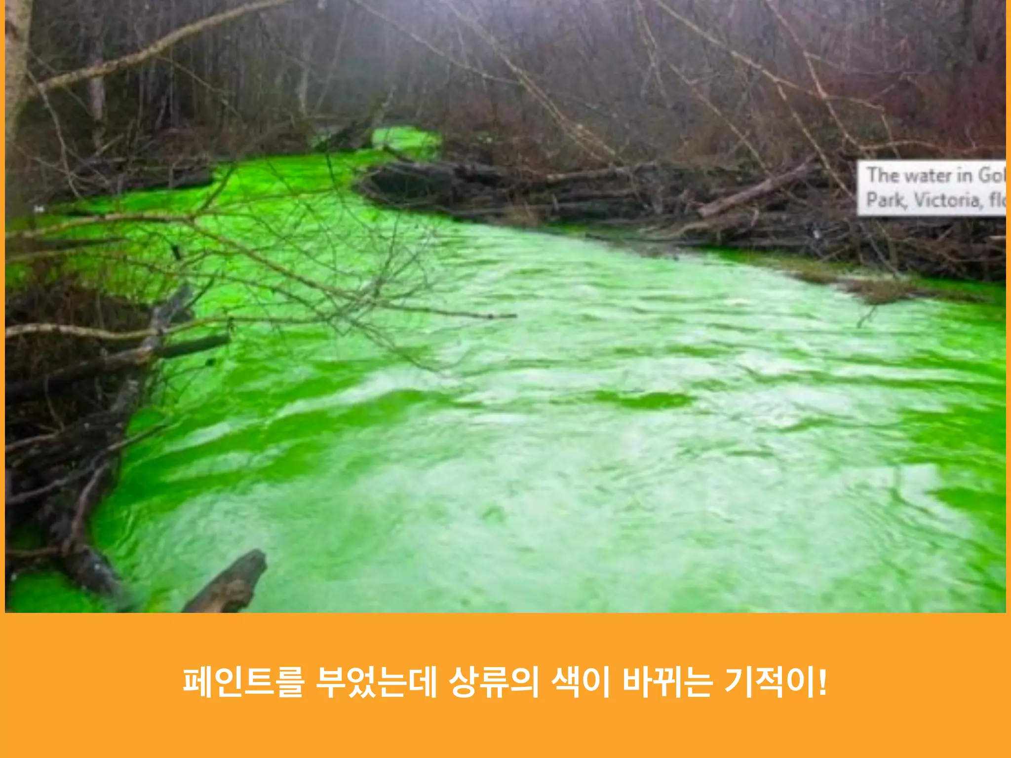 페인트를 부었는데 상류의 색이 바뀌는 기적이!
 