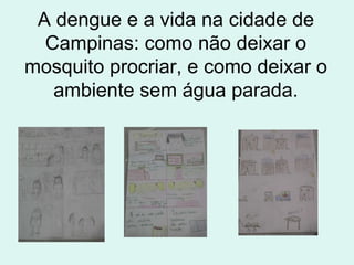 A dengue e a vida na cidade de Campinas: como não deixar o mosquito procriar, e como deixar o ambiente sem água parada. 