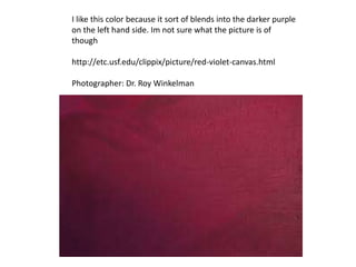 I like this color because it sort of blends into the darker purple
on the left hand side. Im not sure what the picture is of
though
http://etc.usf.edu/clippix/picture/red-violet-canvas.html
Photographer: Dr. Roy Winkelman
 