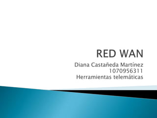 RED WAN Diana Castañeda Martínez 1070956311 Herramientas telemáticas 