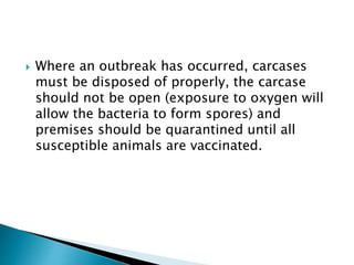  Where an outbreak has occurred, carcases
must be disposed of properly, the carcase
should not be open (exposure to oxygen will
allow the bacteria to form spores) and
premises should be quarantined until all
susceptible animals are vaccinated.
 
