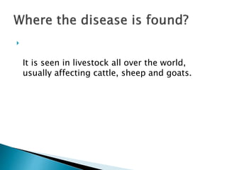 
It is seen in livestock all over the world,
usually affecting cattle, sheep and goats.
 