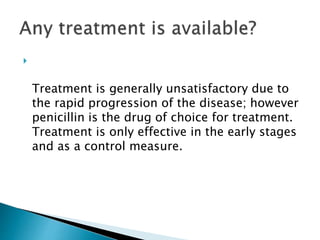 
Treatment is generally unsatisfactory due to
the rapid progression of the disease; however
penicillin is the drug of choice for treatment.
Treatment is only effective in the early stages
and as a control measure.
 