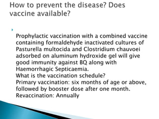 
Prophylactic vaccination with a combined vaccine
containing formaldehyde inactivated cultures of
Pasturella multocida and Clostridium chauvoei
adsorbed on aluminum hydroxide gel will give
good immunity against BQ along with
Haemorrhagic Septicaemia.
What is the vaccination schedule?
Primary vaccination: six months of age or above,
followed by booster dose after one month.
Revaccination: Annually
 