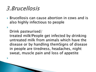  Brucellosis can cause abortion in cows and is
also highly infectious to people

Drink pasteurised/
treated milk!People get infected by drinking
untreated milk from animals which have the
disease or by handling themSigns of disease
in people are tiredness, headaches, night
sweat, muscle pain and loss of appetite

 