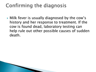  Milk fever is usually diagnosed by the cow’s
history and her response to treatment. If the
cow is found dead, laboratory testing can
help rule out other possible causes of sudden
death.
 
