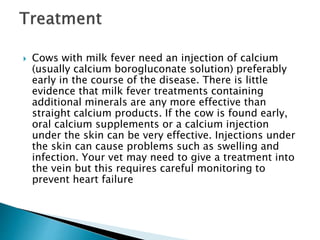  Cows with milk fever need an injection of calcium
(usually calcium borogluconate solution) preferably
early in the course of the disease. There is little
evidence that milk fever treatments containing
additional minerals are any more effective than
straight calcium products. If the cow is found early,
oral calcium supplements or a calcium injection
under the skin can be very effective. Injections under
the skin can cause problems such as swelling and
infection. Your vet may need to give a treatment into
the vein but this requires careful monitoring to
prevent heart failure
 
