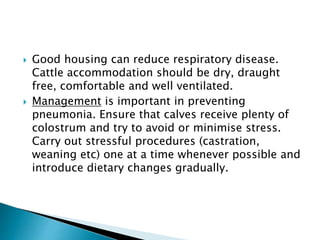  Good housing can reduce respiratory disease.
Cattle accommodation should be dry, draught
free, comfortable and well ventilated.
 Management is important in preventing
pneumonia. Ensure that calves receive plenty of
colostrum and try to avoid or minimise stress.
Carry out stressful procedures (castration,
weaning etc) one at a time whenever possible and
introduce dietary changes gradually.
 
