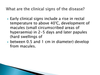  Early clinical signs include a rise in rectal
temperature to above 40°C, development of
macules (small circumscribed areas of
hyperaemia) in 2-5 days and later papules
(hard swellings of
 between 0.5 and 1 cm in diameter) develop
from macules.
 
