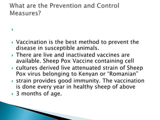 
 Vaccination is the best method to prevent the
disease in susceptible animals.
 There are live and inactivated vaccines are
available. Sheep Pox Vaccine containing cell
 cultures derived live attenuated strain of Sheep
Pox virus belonging to Kenyan or “Romanian”
 strain provides good immunity. The vaccination
is done every year in healthy sheep of above
 3 months of age.
 