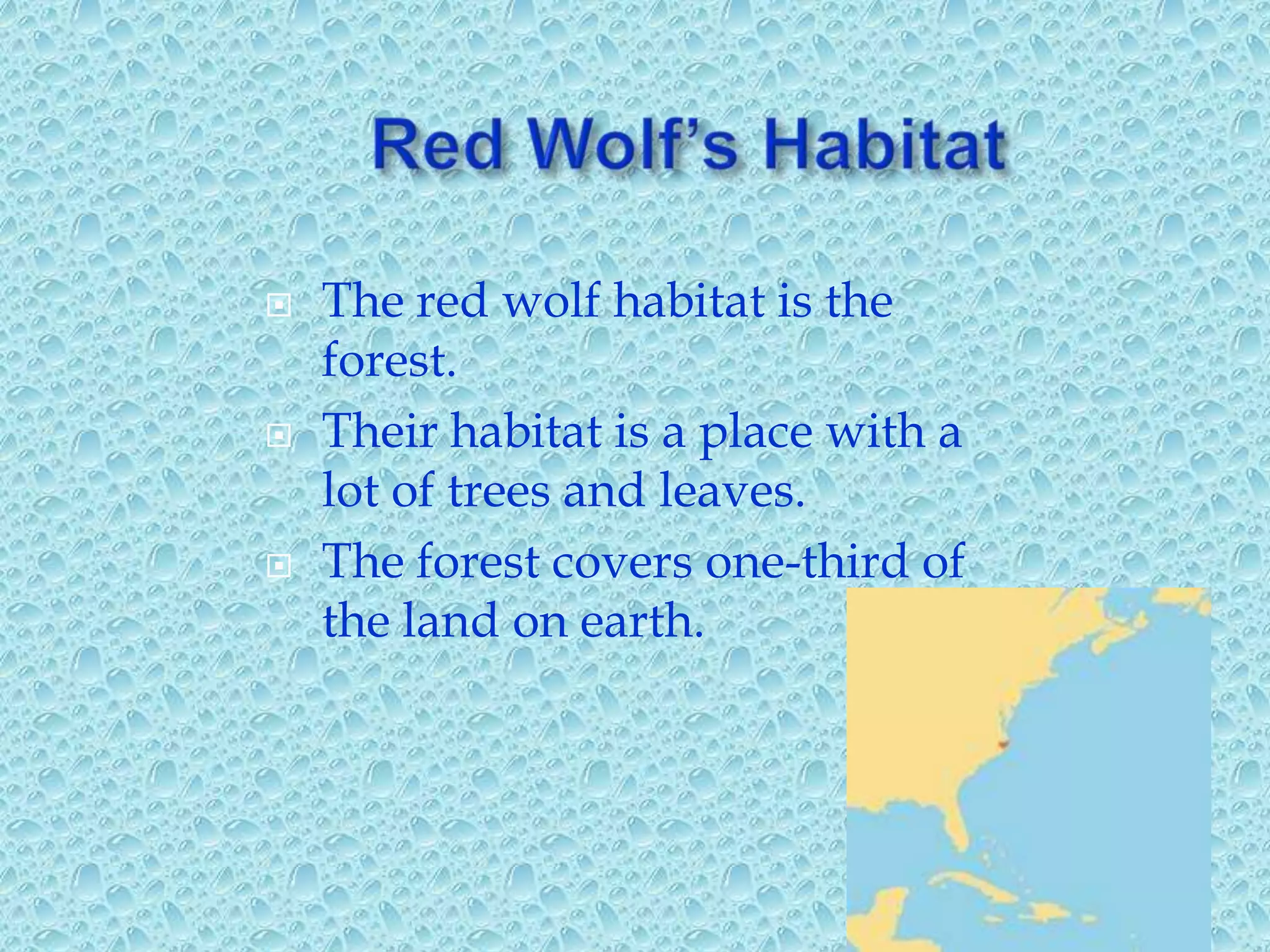Red wolf | PPT