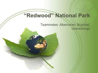 “Redwood” National Park
Teammates: Altannaran, Buynbat,
Uransolongo
 
