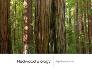 Redwood Biology Sajel Patwardhan
 