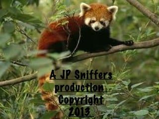 A JP Sniffers
production
Copyright
2013
 