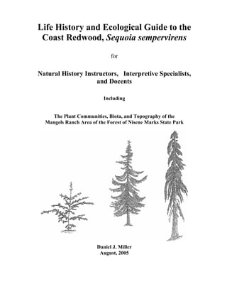 Life History and Ecological Guide to the
Coast Redwood, Sequoia sempervirens
for
Natural History Instructors, Interpretive Specialists,
and Docents
Including
The Plant Communities, Biota, and Topography of the
Mangels Ranch Area of the Forest of Nisene Marks State Park
Daniel J. Miller
August, 2005
 
