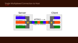 Single Multiplexed Connection to Host
 