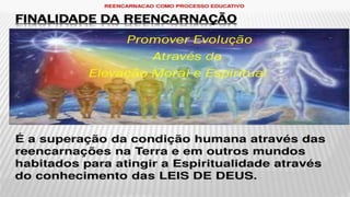 Reecarnacao e evolucao