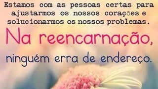 Reecarnacao e evolucao