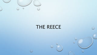 THE REECE
 