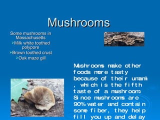Mushrooms ,[object Object],[object Object],[object Object],[object Object],Mushrooms make other foods more tasty because of their umami , which is the fifth taste of a mushroom. Since mushrooms are 90% water and contain some fiber, they help fill you up and delay hunger. In Massachusetts you can only eat some mushrooms because some are poisonous.  