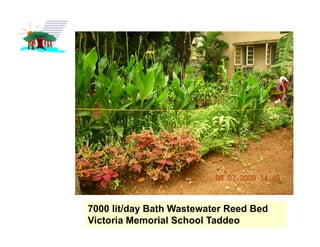 7000 lit/day Bath Wastewater Reed Bed
Victoria Memorial School Taddeo
 