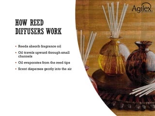Comprehensive Guide to Reed Diffuser Fragrances and Their Impact on ...