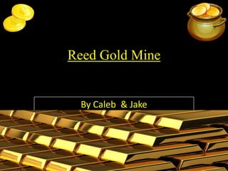 Reed Gold Mine By Caleb & Jake 