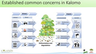 Established common concerns in Kalomo
 