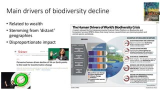 Main drivers of biodiversity decline
• Related to wealth
• Stemming from ‘distant’
geographies
• Disproportionate impact
 