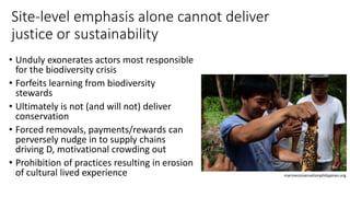 Site-level emphasis alone cannot deliver
justice or sustainability
• Unduly exonerates actors most responsible
for the biodiversity crisis
• Forfeits learning from biodiversity
stewards
• Ultimately is not (and will not) deliver
conservation
• Forced removals, payments/rewards can
perversely nudge in to supply chains
driving D, motivational crowding out
• Prohibition of practices resulting in erosion
of cultural lived experience marineconservationphilippines.org
 