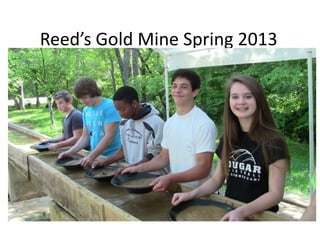 Reed’s Gold Mine Spring 2013
 