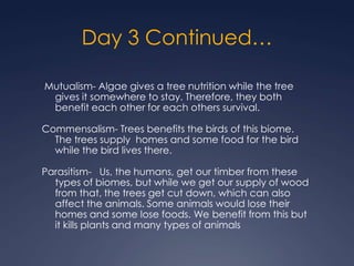 Day 3 Continued…  Mutualism- Algae gives a tree nutrition while the tree gives it somewhere to stay. Therefore, they both benefit each other for each others survival.Commensalism- Trees benefits the birds of this biome. The trees supply  homes and some food for the bird while the bird lives there.     Parasitism-   Us, the humans, get our timber from these types of biomes, but while we get our supply of wood from that, the trees get cut down, which can also affect the animals. Some animals would lose their homes and some lose foods. We benefit from this but it kills plants and many types of animals 