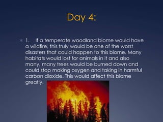 Day 4:1.	If a temperate woodland biome would have a wildfire, this truly would be one of the worst disasters that could happen to this biome. Many habitats would lost for animals in it and also many, many trees would be burned down and could stop making oxygen and taking in harmful carbon dioxide. This would affect this biome greatly.