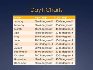 Day1:Charts