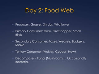 Day 2: Food WebProducer: Grasses, Shrubs, WildflowerPrimary Consumer: Mice, Grasshopper, Small BirdsSecondary Consumer: Foxes, Weasels, Badgers, SnakeTertiary Consumer: Wolves, Cougar, HawkDecomposers: Fungi (Mushrooms) , Occasionally Bacteria, 