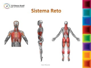 Inspiratória
Anterior Posterior
(Pawlina, Olson, 1997 baseado em
Souchard, 1998; Marques, 2000;
Santos, 2002; Paiva, 2003)
Fabio Mazzola
 
