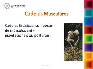 Cadeias Estáticas: composto
de músculos anti-
gravitacionais ou posturais.
Fabio Mazzola
 