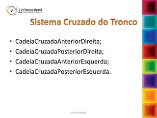 • CadeiaCruzadaAnteriorDireita;
• CadeiaCruzadaPosteriorDireita;
• CadeiaCruzadaAnteriorEsquerda;
• CadeiaCruzadaPosteriorEsquerda.
Fabio Mazzola
 