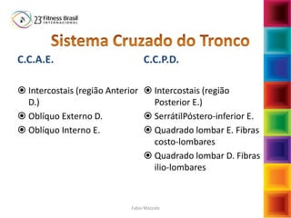 C.C.A.E.
 Intercostais (região Anterior
D.)
 Oblíquo Externo D.
 Oblíquo Interno E.
C.C.P.D.
 Intercostais (região
Posterior E.)
 SerrátilPóstero-inferior E.
 Quadrado lombar E. Fibras
costo-lombares
 Quadrado lombar D. Fibras
ilio-lombares
Fabio Mazzola
 