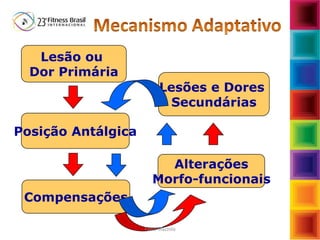Lesão ou
Dor Primária
Posição Antálgica
Compensações
Alterações
Morfo-funcionais
Lesões e Dores
Secundárias
Fabio Mazzola
 
