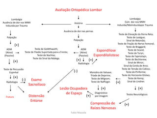 Fabio Mazzola
Espondilose
Espondilolistese
Lesão Ocupadora
de Espaço
Compressão de
Raízes Nervosas
Diagnóstico
por Imagem
Manobra de Valsava;
Tríade de Dejerine;
Teste de Milgram;
Teste de Naffziger.
Testes Neurológicos
Teste de Elevação da Perna Reta;
Teste de Lasègue;
Sinal de Retorsão;
Teste de Tração do Nervo Femoral;
Teste de Braggard;
Teste de Sicard;
Teste de Turyn;
Teste de Fajersztajn;
Teste de Bechterew;
Sinal de Minor;
Sinal da Corda de Arco;
Teste de Tensão do Ciático;
Teste do Piriforme;
Teste do Horizonte Glúteo;
Teste de Kemp;
Sinal de Lindner.
Teste de Goldthwaith;
Teste de Flexão Suportada para a Frente;
Teste de Nachlas;
Teste do Sinal da Nádega.
Palpação
Ausência de dor nas pernas
Fratura
Radiologia
Teste de Percussão
Espinhal
ADM
(Ativo)
(Passivo)
Palpação
Lombalgia
Ausência de dor nos MMII
Induzida por Trauma
História
ADM
(Ativo)
(Passivo)
Radiologia
Lombalgia
Com dor nos MMII
Induzida/NãoInduzidapor Trauma
Exame
Sacroilíaco
Distensão
Entorse
(+)
(-)
(+)
(+)
(+)
(+)
(+)
(+)
(+)
(-)
(+)
(+)
Avaliação Ortopédica Lombar
 