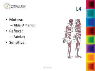 Fabio Mazzola
L4
• Motora:
– Tibial Anterior;
• Reflexa:
– Patelar;
• Sensitiva:
 