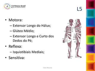 Fabio Mazzola
L5
• Motora:
– Extensor Longo do Hálux;
– Glúteo Médio;
– Extensor Longo e Curto dos
Dedos do Pé;
• Reflexa:
– Isquiotibiais Mediais;
• Sensitiva:
 