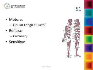 Fabio Mazzola
S1
• Motora:
– Fibular Longo e Curto;
• Reflexa:
– Calcâneo;
• Sensitiva:
 