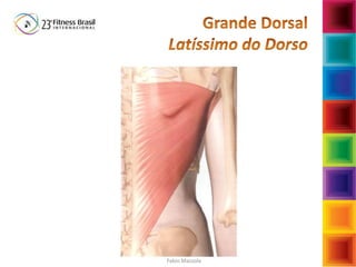 Fabio Mazzola
Fabio Mazzola
 