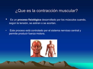 ¿Que es la contracción muscular?
• Es un proceso fisiológico desarrollado por los músculos cuando,
según la tensión, se estiran o se acortan.
• Este proceso está controlado por el sistema nervioso central y
permite producir fuerza motora.
 