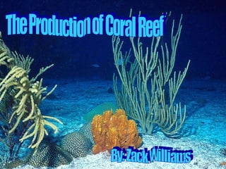 The Production of Coral Reef By: Zack Williams 