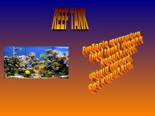 REEF TANK Ενυδρείο φυτεμένο (reef tank) ύφαλος  κοραλλιών. Ψάρια ήμερα. Sps κοράλλια. 