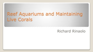 Reef Aquariums and Maintaining
Live Corals
Richard Rinaolo
 
